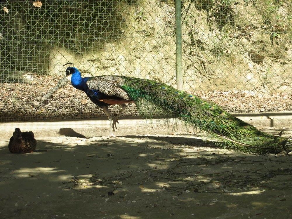 Encosta Dos Tuneis - Turismo E Lazer Sever do Vouga Exterior foto