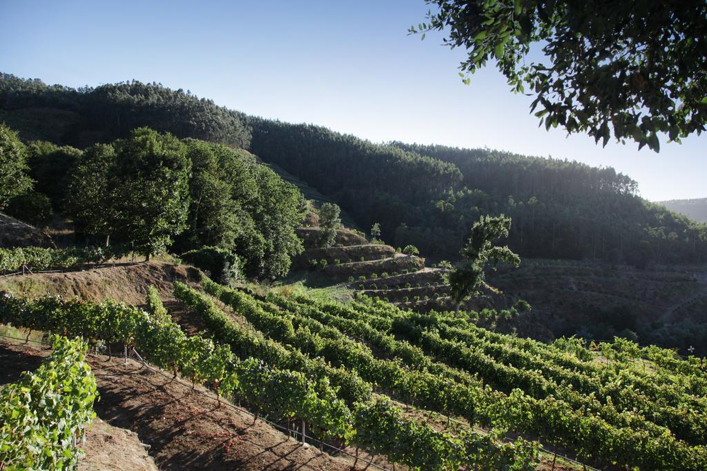 Encosta Dos Tuneis - Turismo E Lazer Sever do Vouga Exterior foto